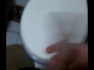 mi paja n&deg;2000
