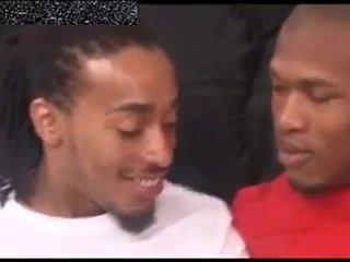 adonis tagg